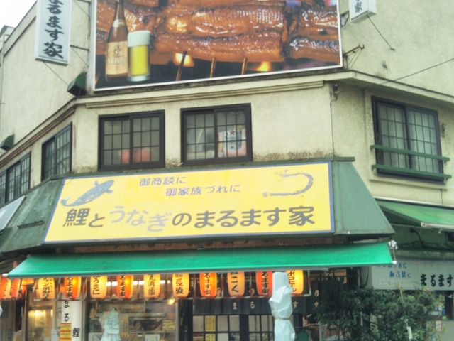 鯉とうなぎのまるます家_鯉とうなぎのまるます家