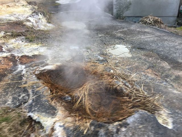 温泉の蒸気が出ています_わいた温泉郷 はげの湯・たけの湯・山川温泉