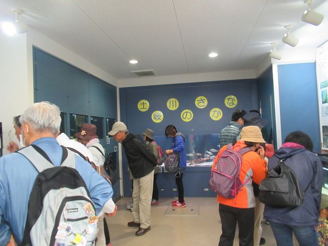 鶴亀松竹梅扇さんの土岐川観察館の投稿写真1