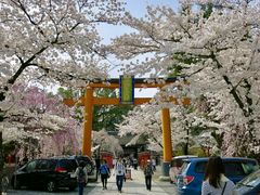 スピンコさんの平野神社への投稿写真1
