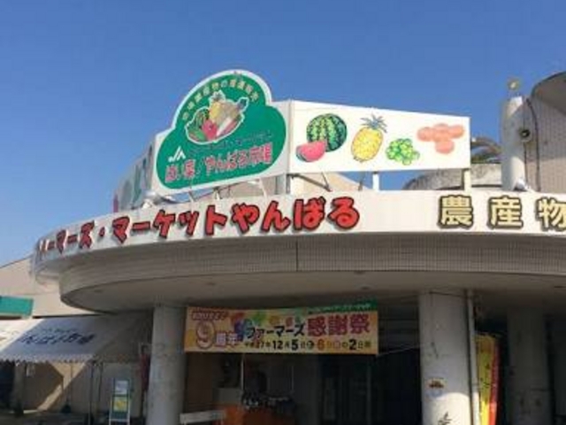 可愛らしい雰囲気_ファーマーズマーケットやんばる