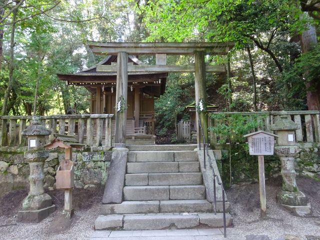 摂社 出雲建雄神社_石上神宮摂社出雲建雄神社拝殿