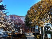 DoubleO7さんの宝樹院の投稿写真1