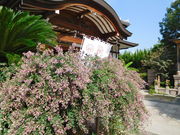 marimariさんの東光院 萩の寺の投稿写真1