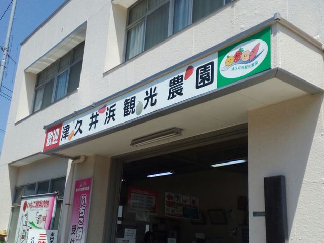 観光農園_津久井浜観光農園