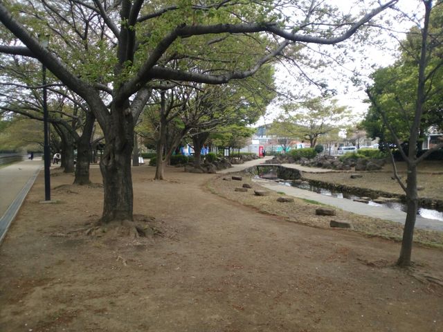 アンダーさんの海老名市北部公園の投稿写真1