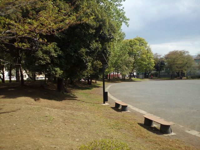 広い東柏ヶ谷公園_東柏ヶ谷近隣公園