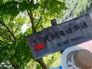 きょうさんの犬飼滝遊歩道の投稿写真1