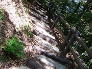 きょうさんの犬飼滝遊歩道の投稿写真2