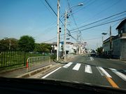 しんのすけさんの大阪公立大学附属植物園の投稿写真1