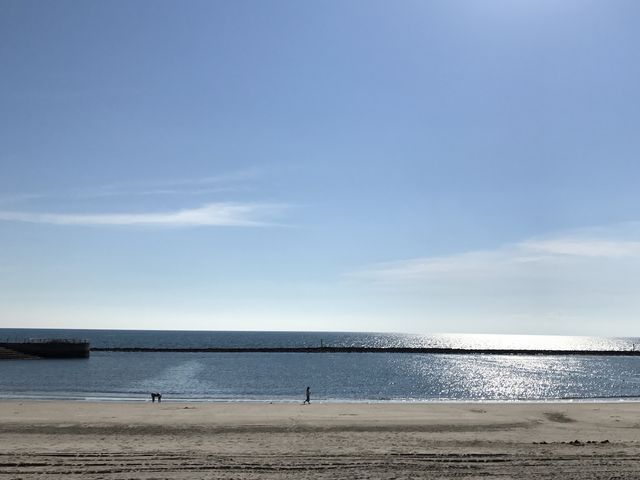江口浜_江口浜海浜公園
