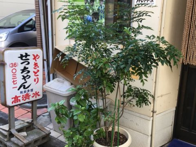 南口徒歩1分です_せっちゃん