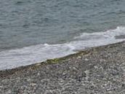 アクセルゼンカイさんの石田浜海水浴場の投稿写真1