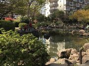 chakaさんの新井薬師公園の投稿写真4