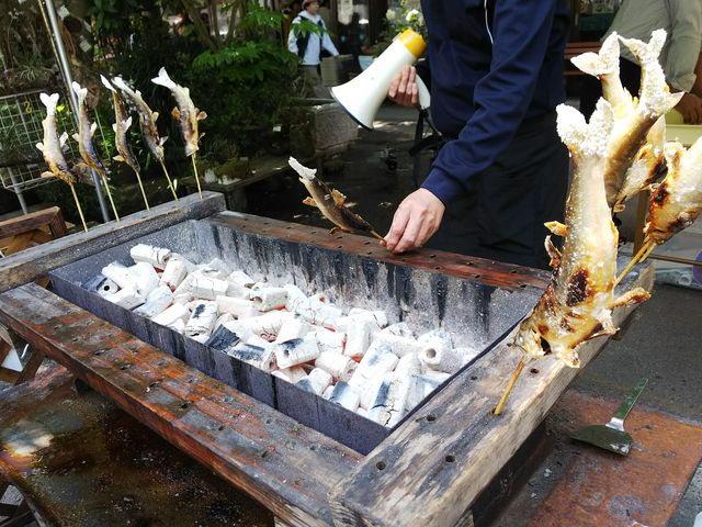 鮎が大きい(^^)_木の花ガルテン