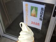 梨花さんの白浜フラワーパークの投稿写真1