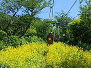 saaaさんの妙見山の投稿写真1