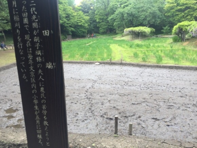 一面田畑です。_田端(小石川後楽園)