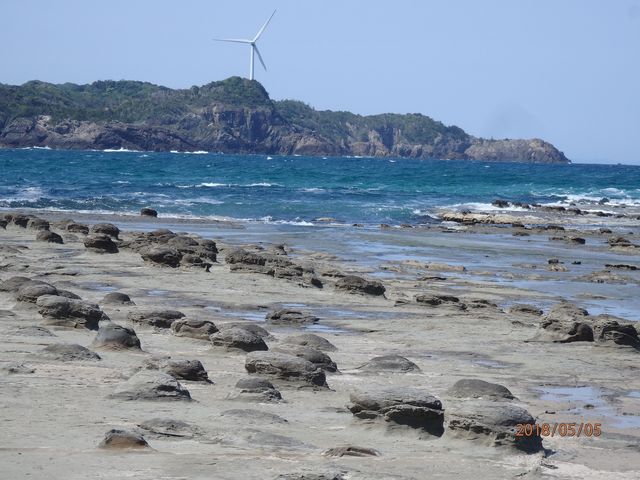 列をなして形成しているノジュール_石見畳ヶ浦