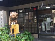 ゆきなさんのくすりの道修町資料館の投稿写真1