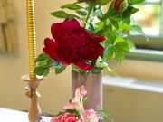 めのうさんのブラフ18番館の投稿写真4