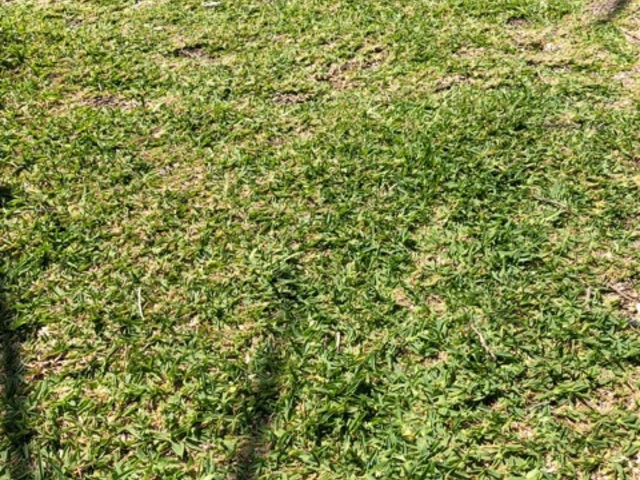 大自然_来間東農村公園