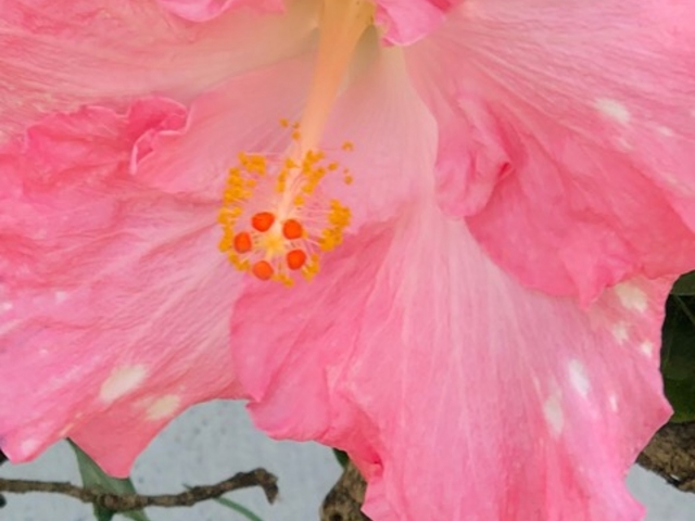 うみさんの米浜海岸の投稿写真1