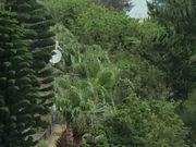 うみさんのマッテラの浜の投稿写真1