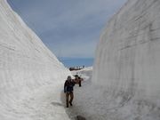 坊ちゃんさんの立山自然保護センターの投稿写真1