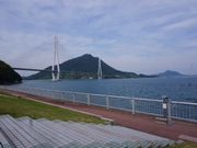 ひぃちまさんの道の駅 多々羅しまなみ公園の投稿写真1