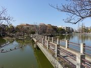 イオンさんの万代池公園の投稿写真1