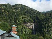 poporonさんの那智原始林の投稿写真1