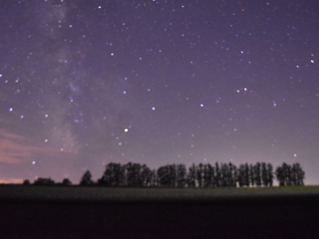 樹々と星空_マイルドセブンの丘