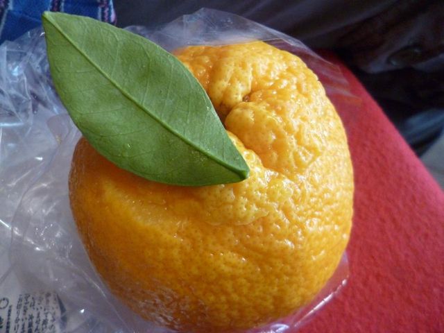 orange jelly_老松・北野店
