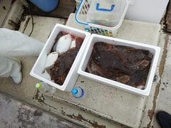 じゃがじゅらんさんの釣船第18金龍丸への投稿写真1