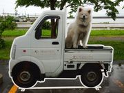 ponちゃんさんの海の駅「わんど」の投稿写真2