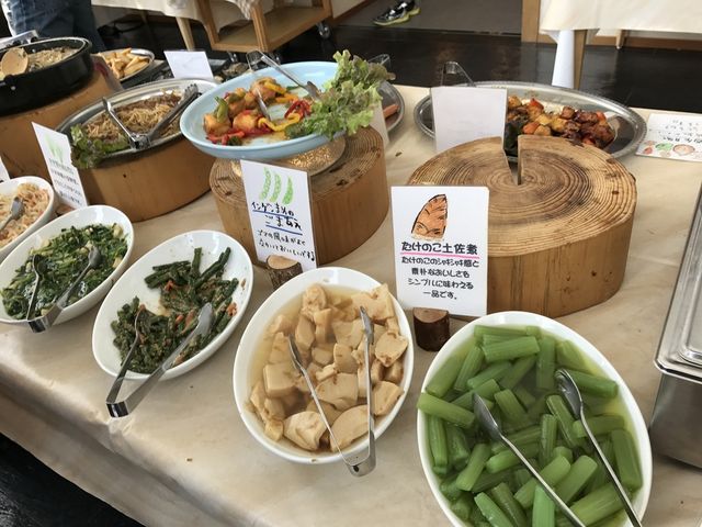 春の山菜も豊富_レストラン桂川