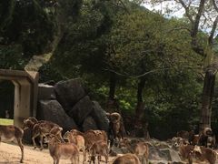 姫路セントラルパークの写真1