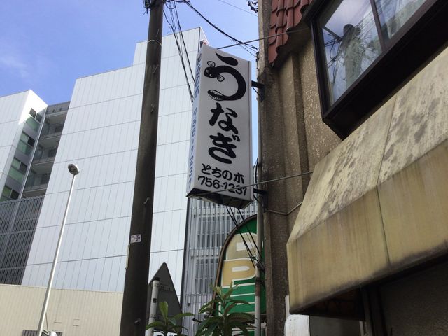淵野辺駅_とちの木