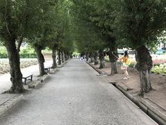 ファーム富田の写真1