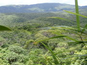 マイBOOさんの与那覇岳の投稿写真1