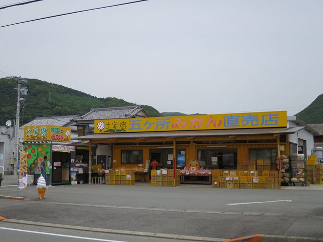 外観_五ヶ所みかん直売店 土実樹