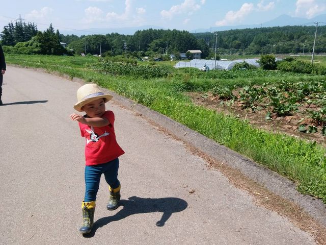 喜んで収穫しました(^.^)_かぼちゃん農園