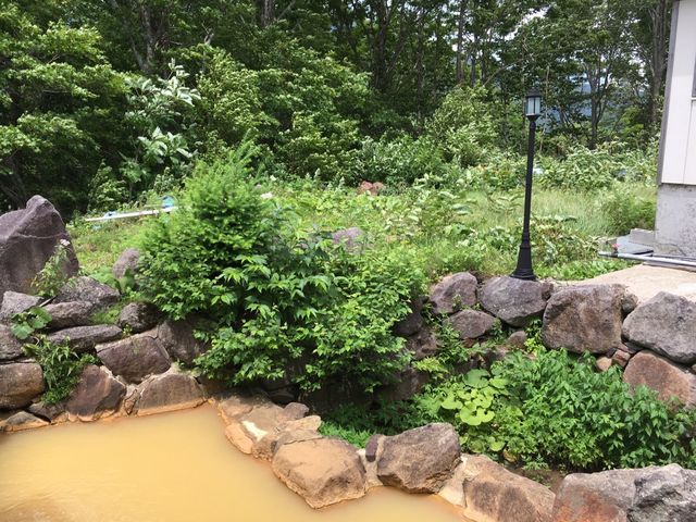 山風が気持ち良いです。トンボが飛んでます_好山荘