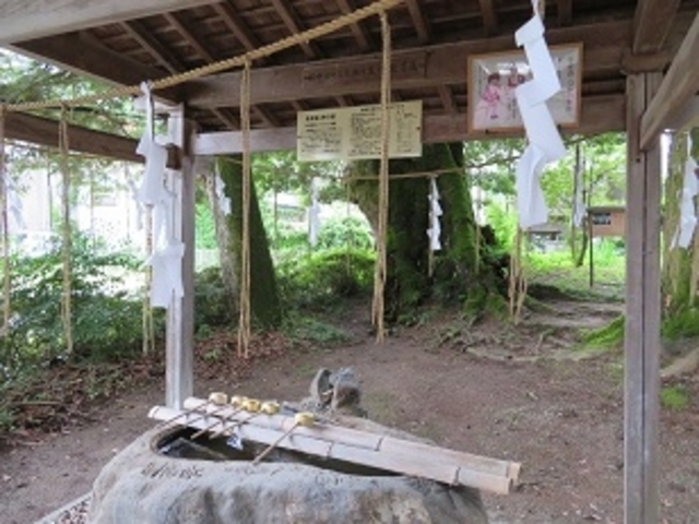 三朝神社 温泉の手水舎_三朝神社