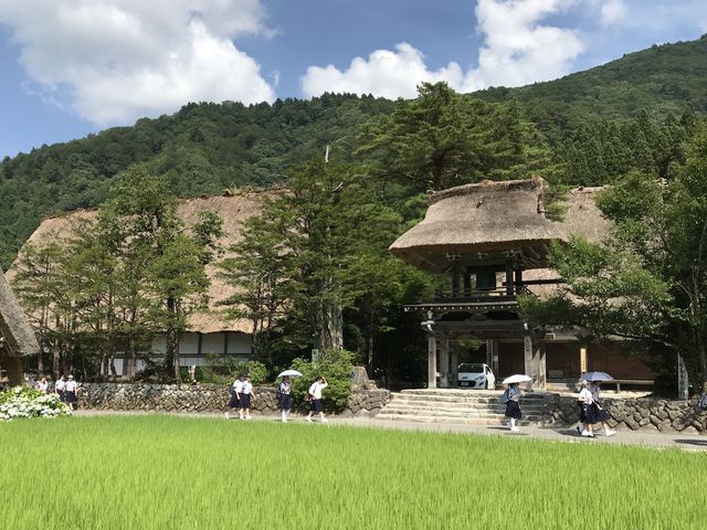 明善寺全景_明善寺郷土館