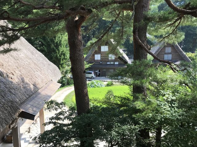 庫裏からの眺め_明善寺郷土館