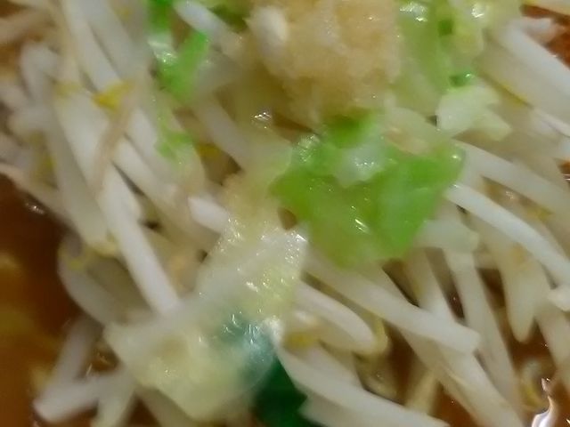 もやしがいっぱいです_旨辛ラーメン表裏高田馬場店