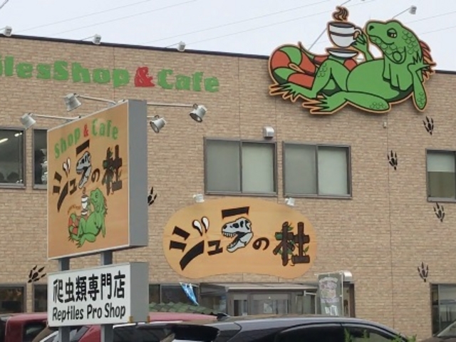 Shop&Cafeジュラの杜♪_Shop&Cafeジュラの杜
