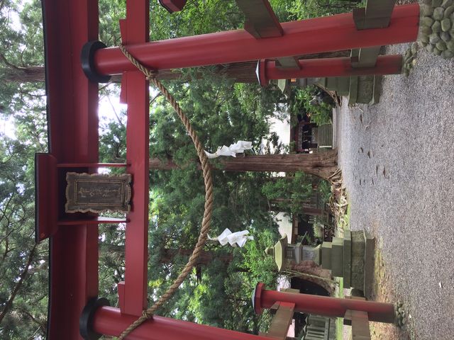 横になってます、すみません島の神社です
_野尻湖ライングループ
